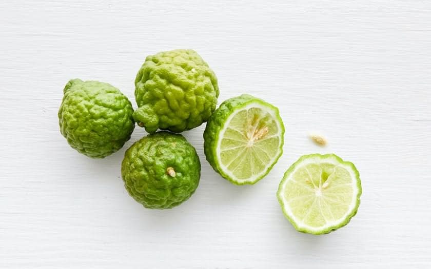Limetten Kaffir Bio