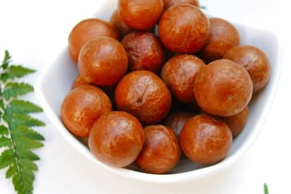 Macadamianüsse Bio