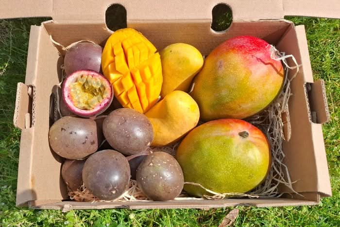 Mango-Passion Box Aktionspreis Bio