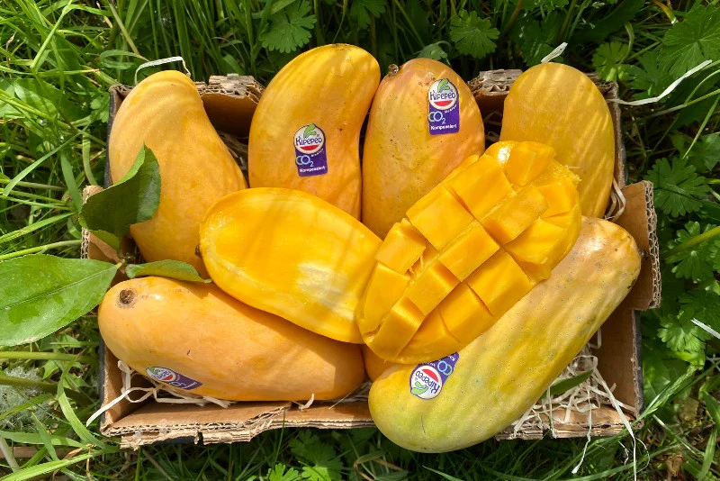 Mango Thai Trio Aktionswoche % - Image 7