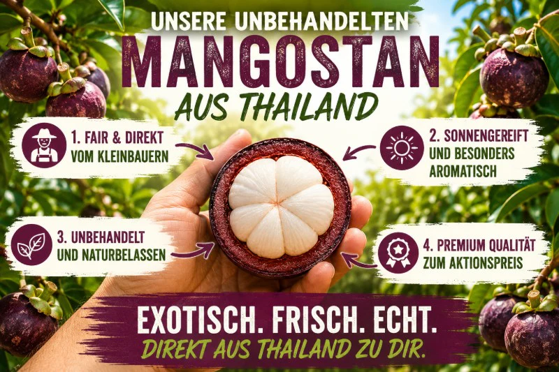 Mangostan unbehandelt Thailand 1,5kg Box Promo % - Image 3