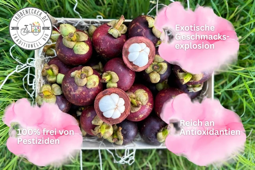 Mangostan unbehandelt Thailand 1,5kg Box Promo % - Image 5