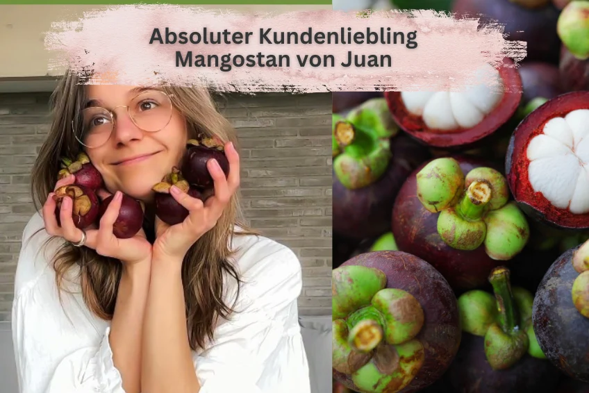 Mangostan unbehandelt Thailand 1,5kg Box Promo % - Image 6