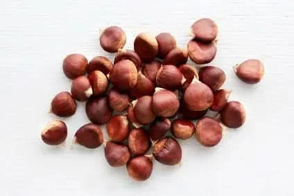 Bio Maronen Frankreich "Bouche de Betizac"