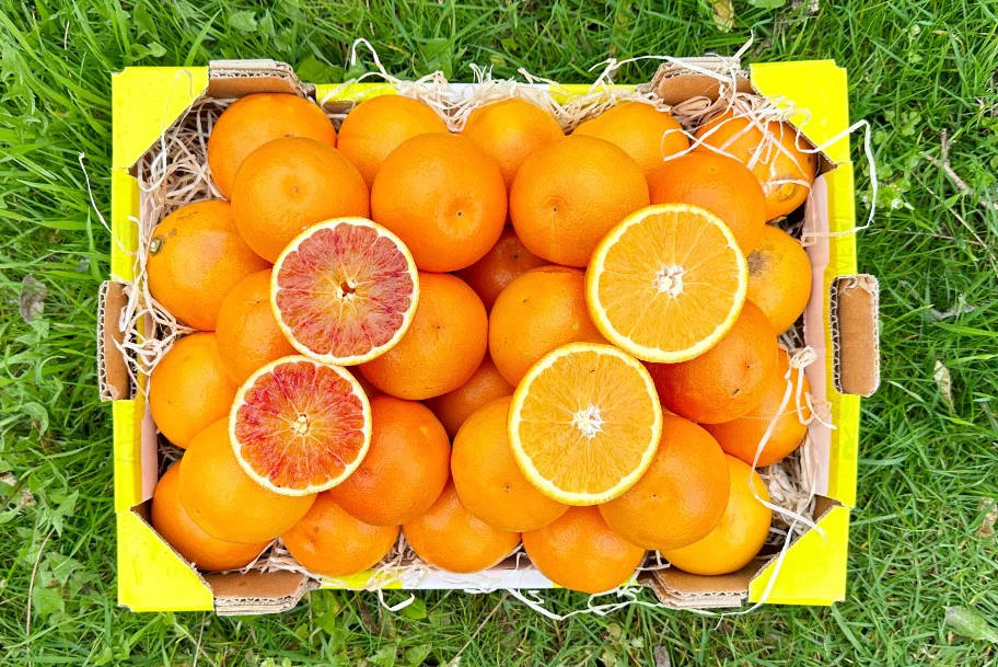 Mini-Orangen Mix Bio Retterbox %