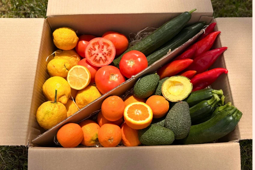 Bio Obst & Gemüse Retterbox 5kg - Image 3