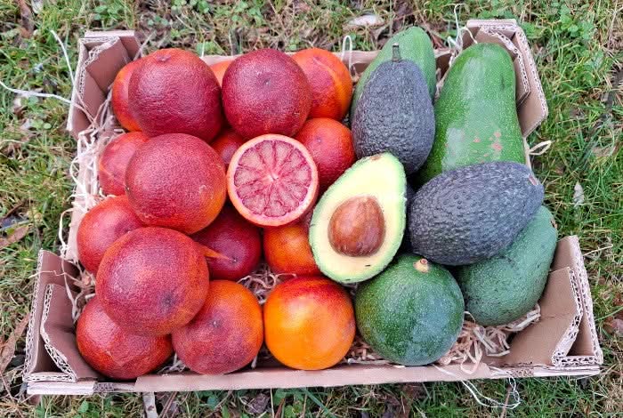Bio Obstbox „Blutorangen & Avocado“ - Image 9