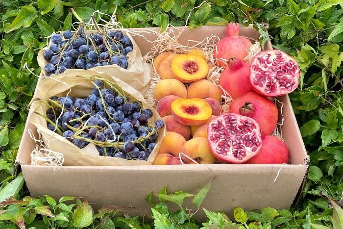 Obstbox "Griechische Sonne" Bio Aktionspreis