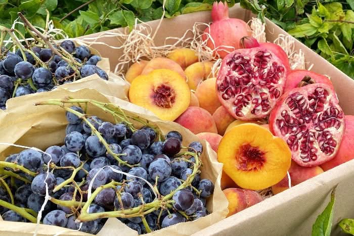 Obstbox "Griechische Sonne" Bio Aktionspreis - Image 2