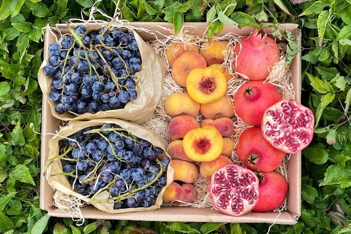 Obstbox "Griechische Sonne" Bio Aktionspreis - Image 3
