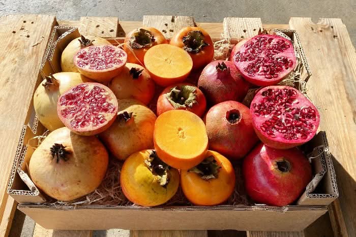 Obstbox "Kaki & Granatapfel" Bio Aktionspreis