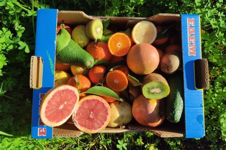 Bio Obstbox „Kreta-Liebe“ 5kg