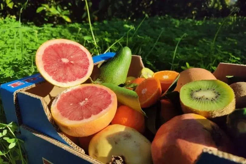 Bio Obstbox „Kreta-Liebe“ 5kg - Image 3