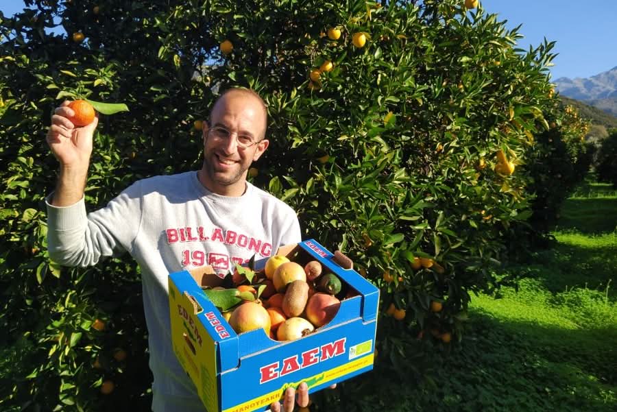 Bio Obstbox „Kreta-Liebe“ 5kg - Image 4