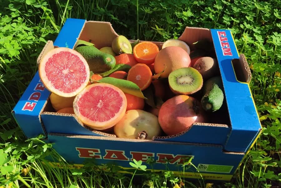 Bio Obstbox „Kreta-Liebe“ 5kg - Image 5
