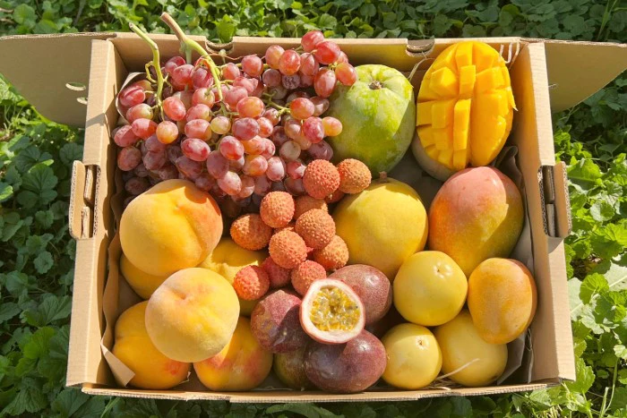 Früchtebox "Sizilianische Vulkanliebe" - Image 3