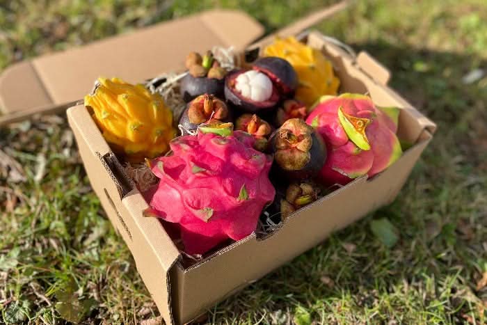 Exotische Früchtebox „Südamerika-Magie“ - Image 6