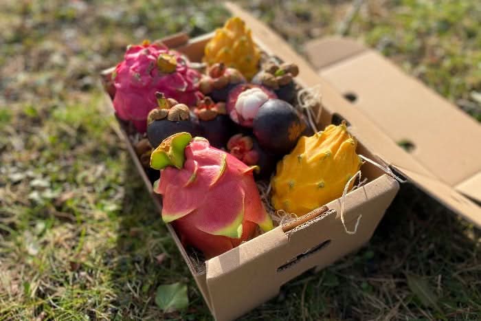 Exotische Früchtebox „Südamerika-Magie“ - Image 8