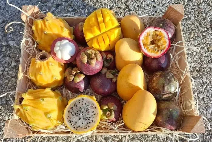 Exotische Früchtebox „Tropenfeeling" - Image 3