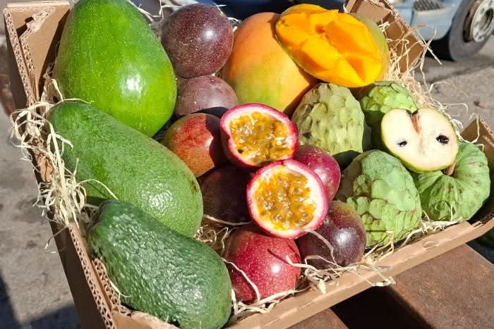 Bio Obstbox "Tropical Weekend" Aktionspreis - Image 2
