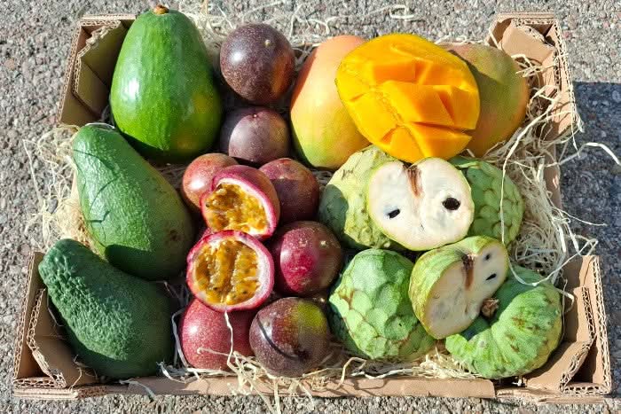 Bio Obstbox „Tropical Weekend“ - Image 10