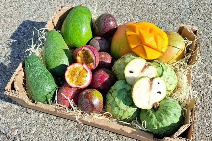 Bio Obstbox „Tropical Weekend“ - Image 7