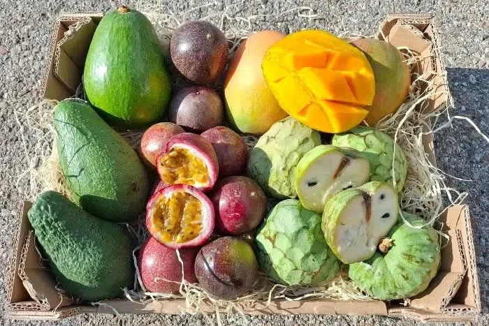 Bio Obstbox „Tropical Weekend“ - Image 8