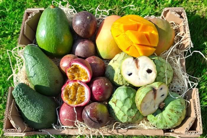 Bio Obstbox "Tropical Weekend" Sonntags-Special