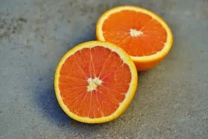 Orange "Ruby Valencia" Bio