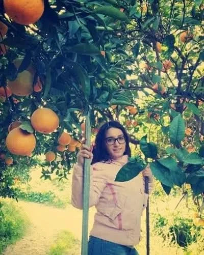 Orangen Navel Sizilien Bio  Aktionspreis - Image 2