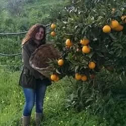 Orangen "Washington Navel" (D.O.P) Bio  Aktionspreis