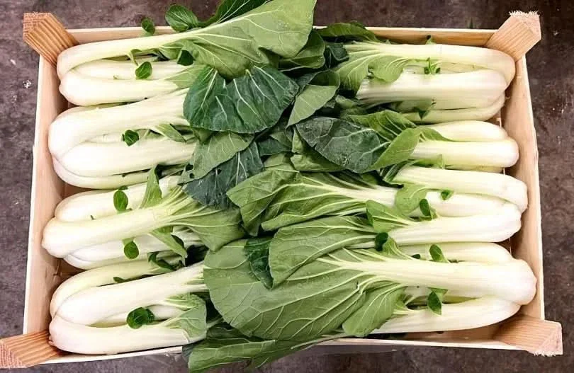 Pak Choi Bio Demeter Box