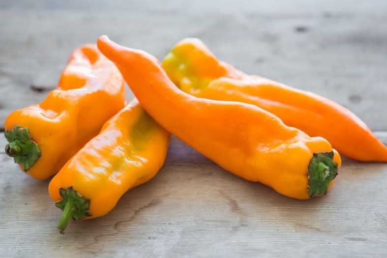 Paprika spitz gelb Bio