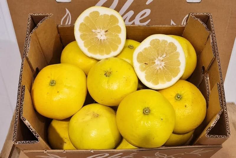 Pomelo weiss Bio