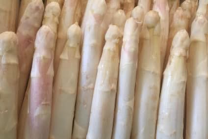 Spargel aus Schrobenhausen weiss/violett Bio regional 500g - Image 2