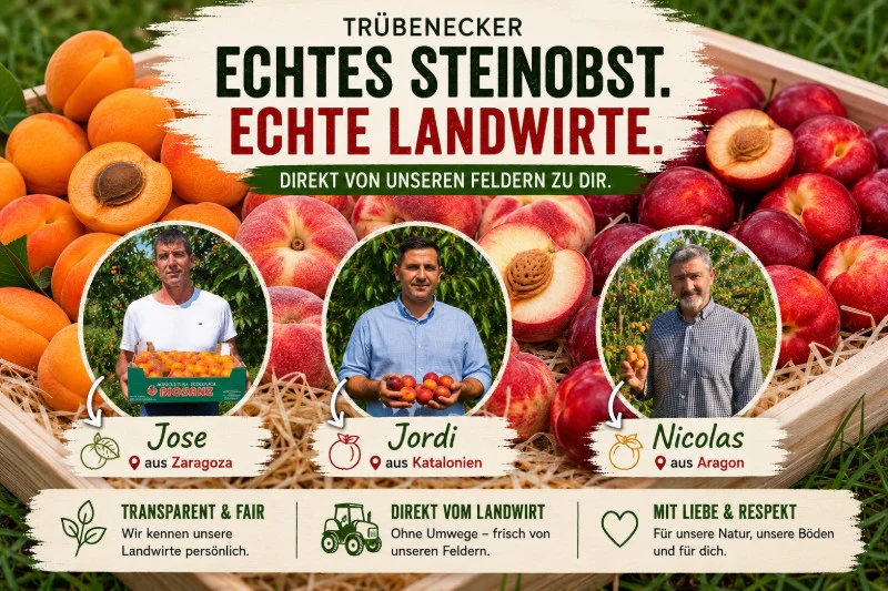Steinobst-Mix Bio "Sonnenküsse" Box - Image 3