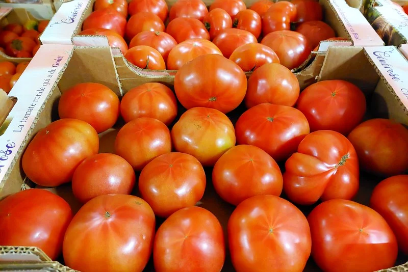 Tomaten "Generose" Bio aus der Provence - Image 3