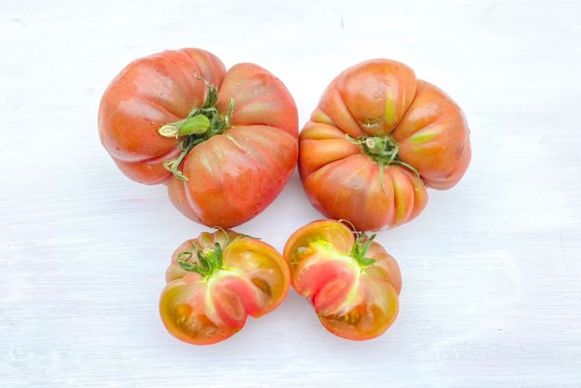 Tomate Côtelée Noire Bio (alte Sorte) - Image 2