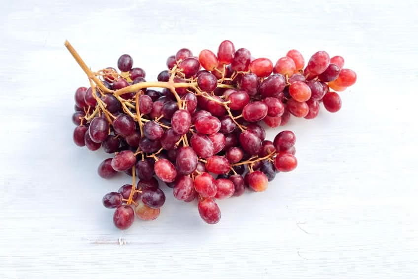Traube "Crimson" Bio