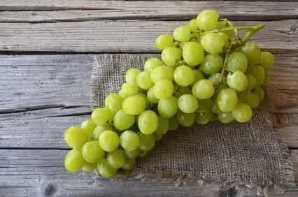 Traube "Vittoria" Bio Aktionspreis