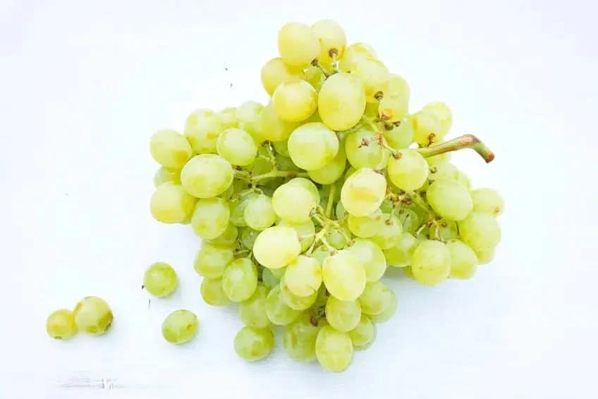 Bio Traube weiss kernlos von Filippo aus Sizilien Aktionspreis