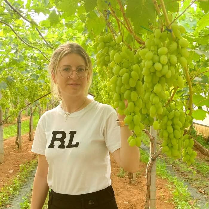 Trauben Mix mit Kern Bio von Elisa aus Sizilien - Image 4