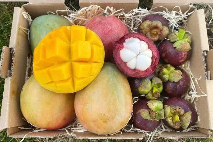 Mango-Stan Lover Box - Image 5