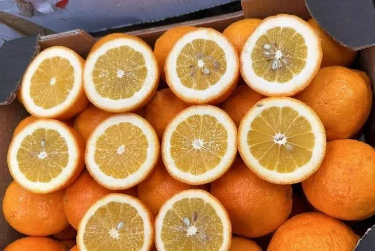 Bio Zitronen „Meyer“ orange Kreta von Apostolis - Image 2