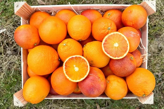 Blutorangen Lempso Bio Familie Caracciolo Sizilien