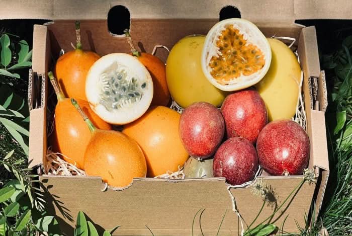 "Passiflora Lovers" Maracuja-Mix Box - Image 3