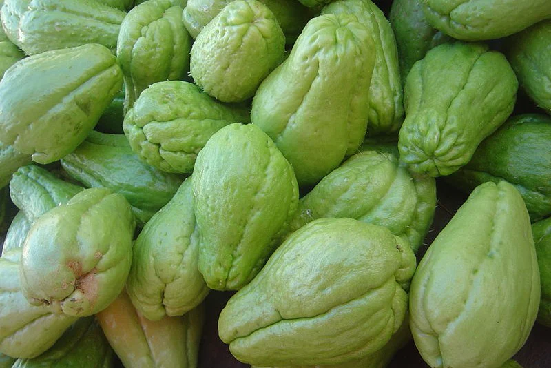 Chayote von Julian