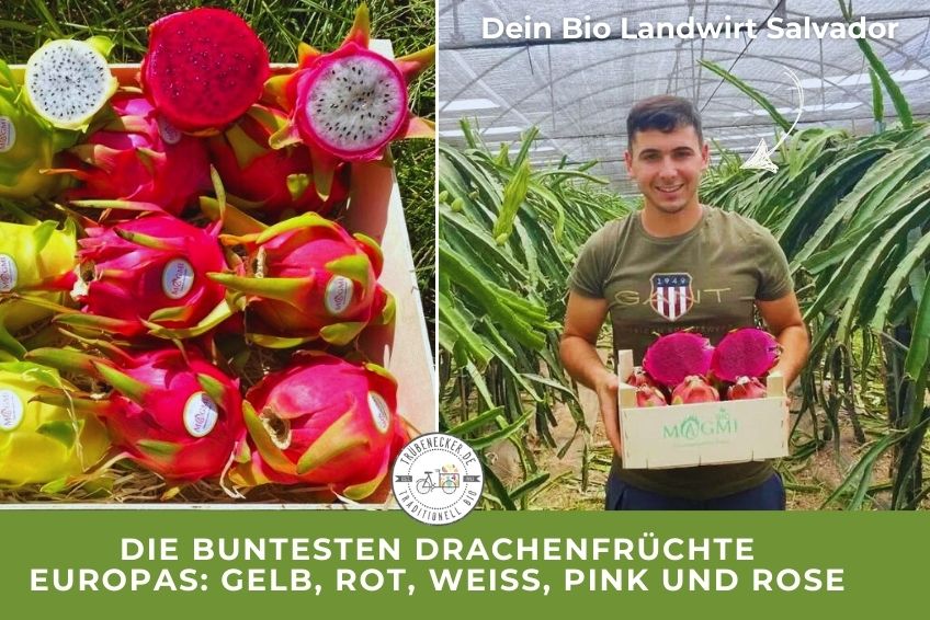 Drachenfrucht Mix bunt Aktionswoche - Image 3