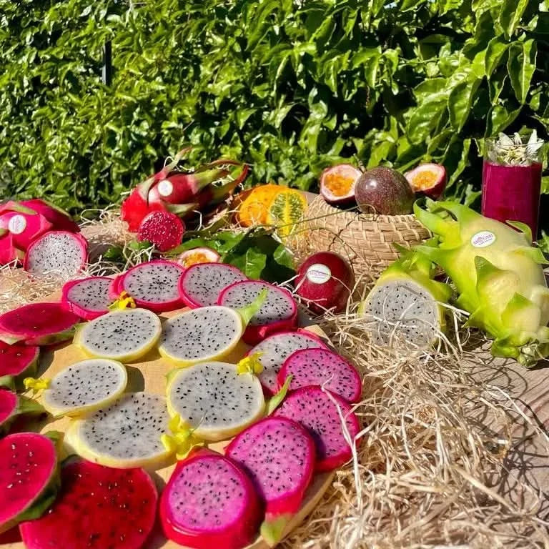 Drachenfrucht Mix bunt Aktionswoche - Image 7