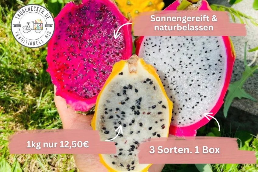 Drachenfrüchte Trio Box Sonderaktion % - Image 2